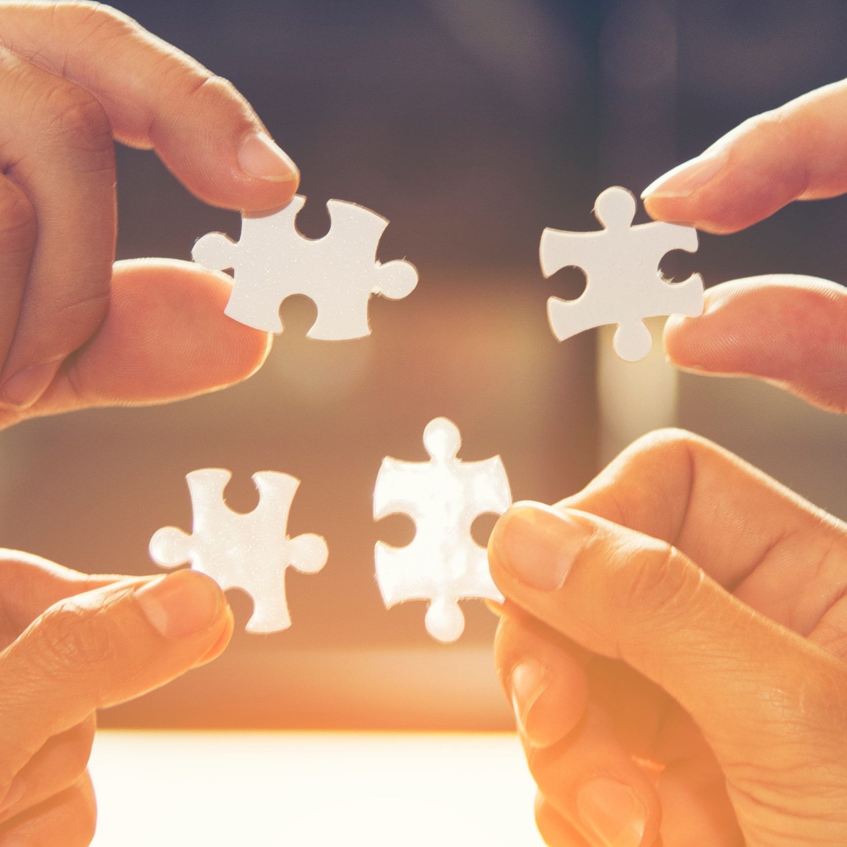 Puzzle, organizacja fundacja powerfly