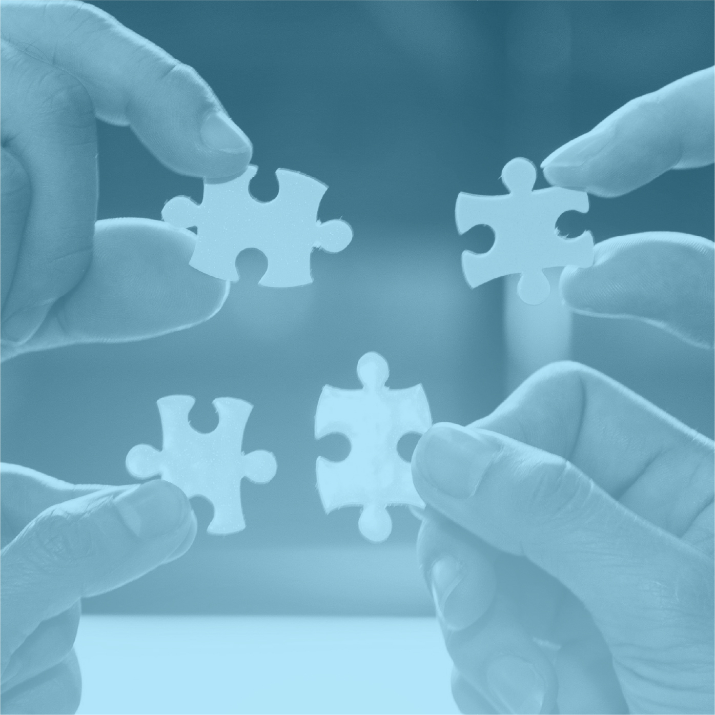 Puzzle, organizacja fundacja powerfly